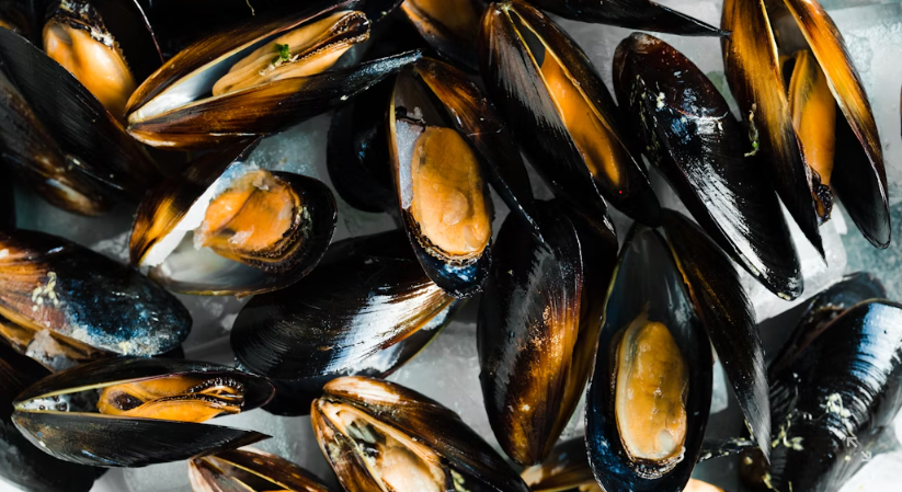 Screenshot 2025 10 30 111423